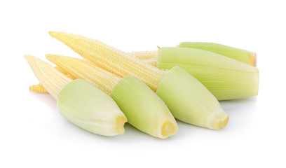 baby corn isolated on white background