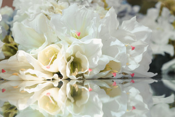 Flowers and their reflection. Flower background