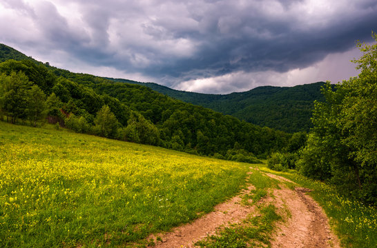 grassy field on hillside in stormy weather. beautiful summer landscape mountains with country road running down the forested hill.