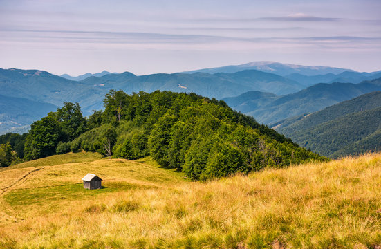 shed near the forest on a grassy slope. beautiful summer landscape in Carpathian mountains. Polonina Krasna mountain ridge is seen in a far distance