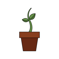 potted growth plant natural flora botanical vector illustration