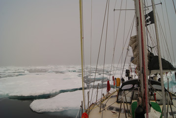 Greenland, arctic: sailing boat trough the iceberg, risk, danger