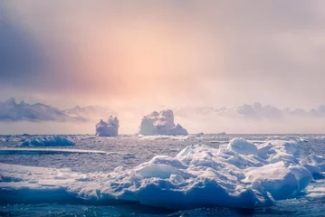 Zelfklevend Fotobehang Greenland, arctic, north pole : amazing iceberg on the sea, we can still see this before complete climate change © Erwin Barbé