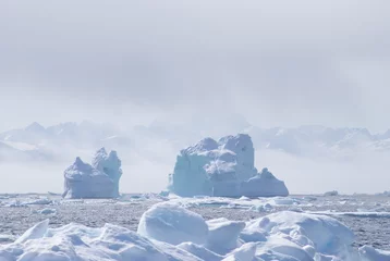 Foto op Canvas Groenland, arctisch, noordpool: verbazingwekkende ijsberg op de zee, we kunnen dit nog steeds zien voordat de klimaatverandering volledig is © Erwin Barbé
