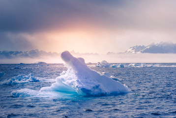 Greenland : amazing iceberg on the sea, we can still see this before complete climate change