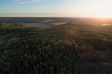 Aerial view of green boreal forest at sunrise in Kurjenrahka National Park, Finland - obrazy, fototapety, plakaty