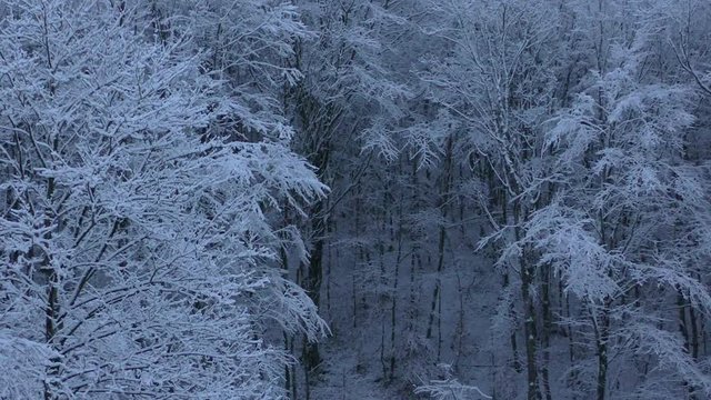 Winter Wonderland - Erster Schnee