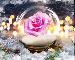 Pink Rose in a Snow Globe