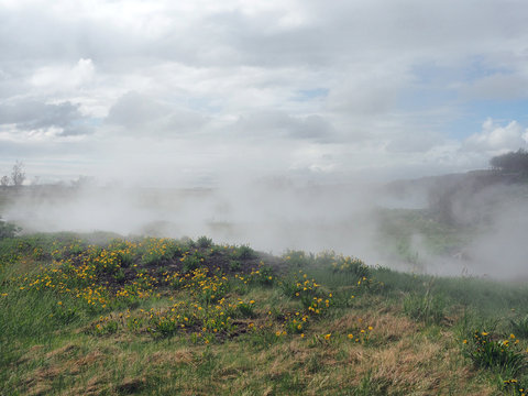 Deildartunguhver - Einheit hei&szlig;er Quellen im Reykholtsdalur
