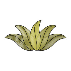 green leaves tropical natural foliage image vector illustration drawing