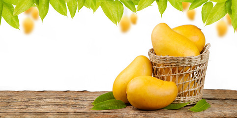 Mango in basket put on wood table with mango tree background and white space for text