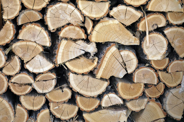 wood logs cut and stacked for fire