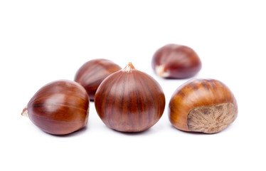 Chestnuts isolated on white background