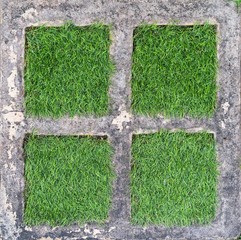 Pavement concrete block with a green grass