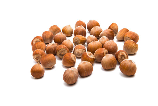 hazelnut nuts isolated