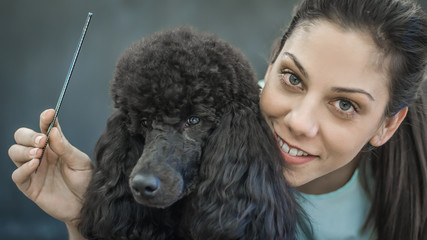 Grooming a little dog in a hair salon for dogs