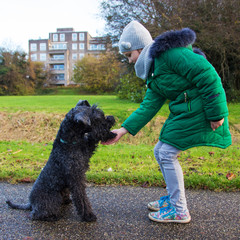 A little girl and a kerry blue terrier dog shake hands.