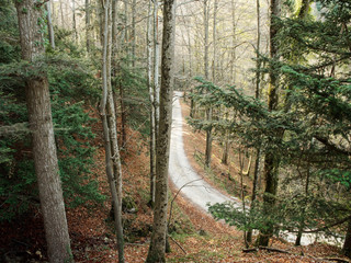 Reigoldswil en suisse.  Parc forestier