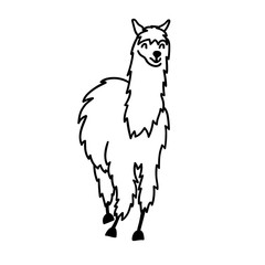Vector illustration of cute character south America lama with decorations. Isolated outline cartoon baby llama. Hand drawn Peru animal guanaco, alpaca, vicuna. Drawing for print, fabric.