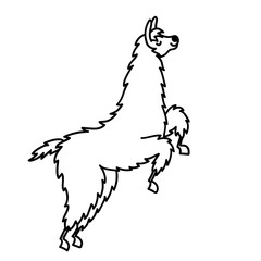 Vector illustration of cute character south America lama with decorations. Isolated outline cartoon baby llama. Hand drawn Peru animal guanaco, alpaca, vicuna. Drawing for print, fabric.