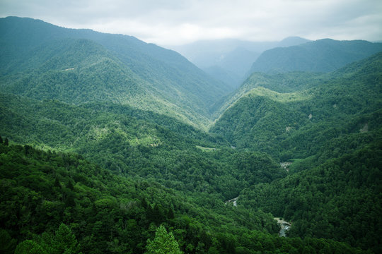 Mountain