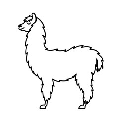 Vector illustration of cute character south America lama with decorations. Isolated outline cartoon baby llama. Hand drawn Peru animal guanaco, alpaca, vicuna. Drawing for print, fabric.