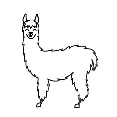 Vector illustration of cute character south America lama with decorations. Isolated outline cartoon baby llama. Hand drawn Peru animal guanaco, alpaca, vicuna. Drawing for print, fabric.