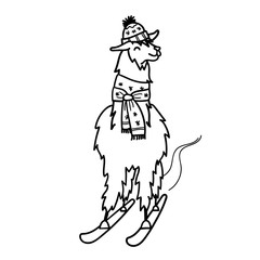 Fototapeta na wymiar Vector illustration of cute character south America lama with decorations. Isolated outline cartoon baby llama. Hand drawn Peru animal guanaco, alpaca, vicuna. Drawing for print, fabric.