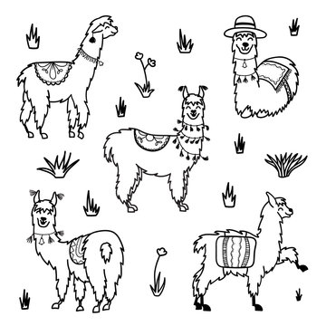 Vector set of characters. Illustration of south Americas cute lama with decorations. Isolated outline cartoon baby llama. Hand drawn Peru animal  guanaco, alpaca, vicuna. Drawing for print, fabric.