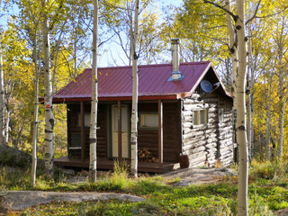 Cabin in the words