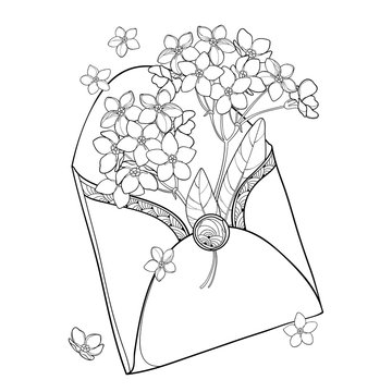 flowers spilling from envelope line art clip art preview