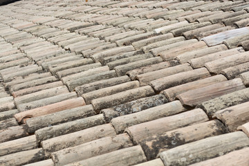 Clay tiles - Avignon