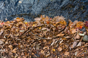 Fall colors and water