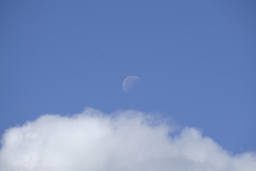 Moon day on blue sky