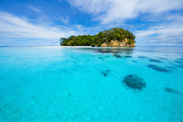 Tropisch eiland in Raja Ampat