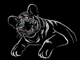White tiger cub