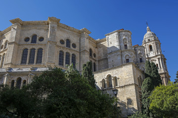 Fototapeta na wymiar Cathedral of Malaga, Costa del Sol, Andalusia, Spain