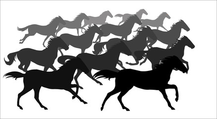 Horse running, silhouette, racecourse, competition, 