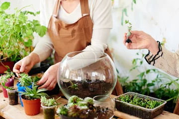 Foto op Canvas Women's hobby. Girl nerd florist make a mini terrarium with house plants © amixstudio