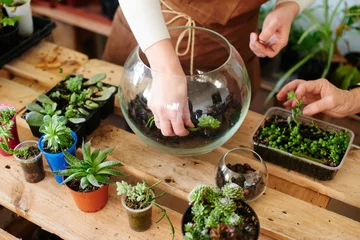 Foto op Canvas Women's hobby. Girl nerd florist make a mini terrarium with house plants © amixstudio