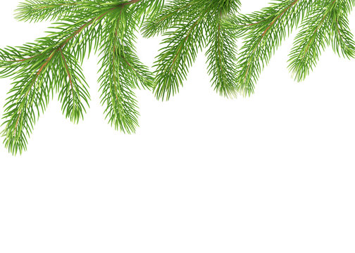 Fir branches border. Christmas tree frame, pine needles isolated on white