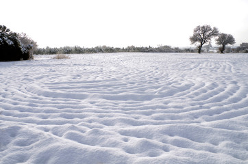 Naklejka premium Winter snowy landscape.