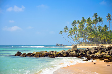 Naklejka premium tropical beach