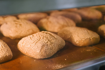 Oven baked bread close up