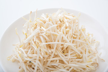 isolated bean sprout on white plate