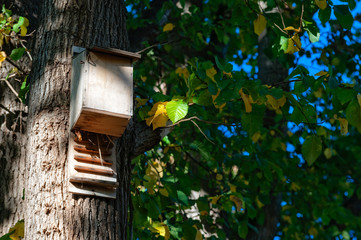 wooden birdhouse hanging on a tree