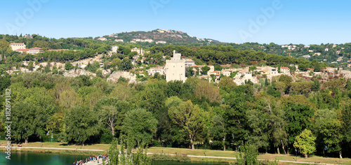 Rive droite du Rhône à Avignon