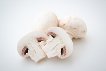 Fototapeta na wymiar isolated white mushrooms on white background