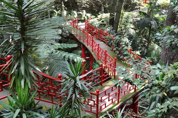 Botanical garden in Madeira