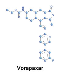 Vorapaxar medical illustration